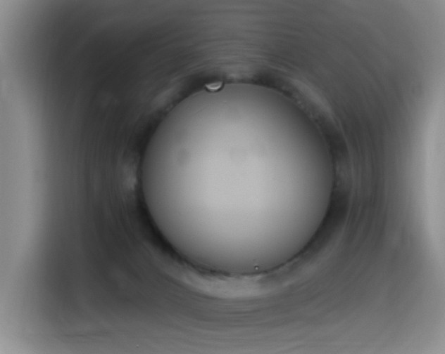 X0000116150032200911231340