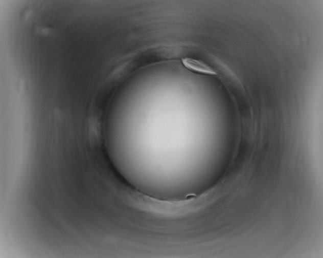 X0000116150035200911231340