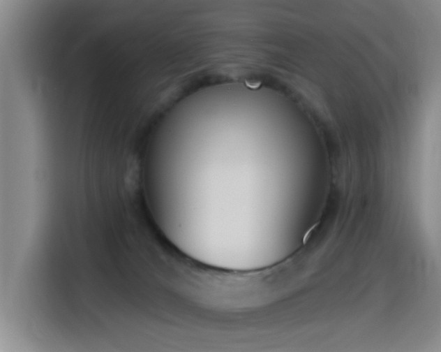 X0000116150036200911231340