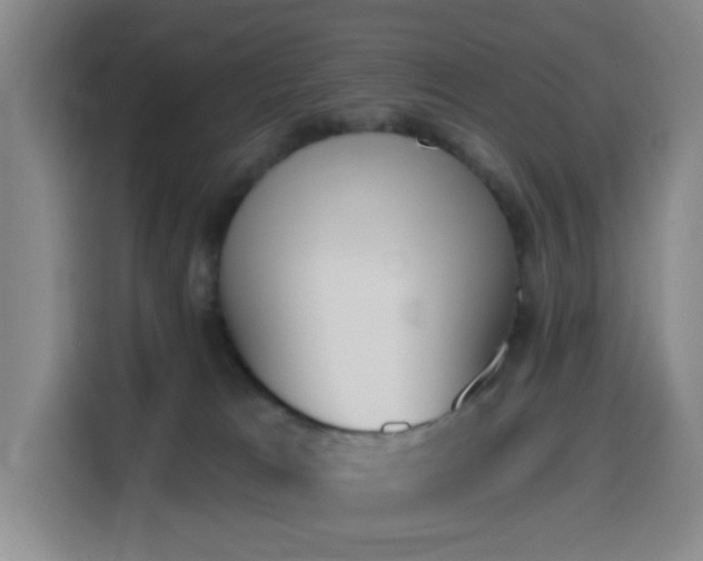 X0000116150037200911231340