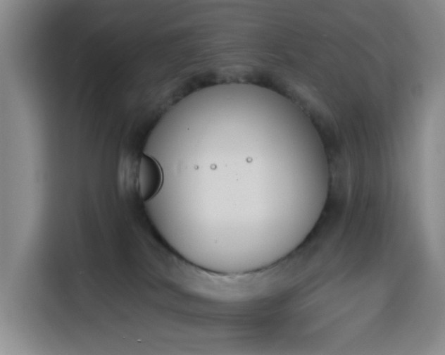 X0000116150038200911231340