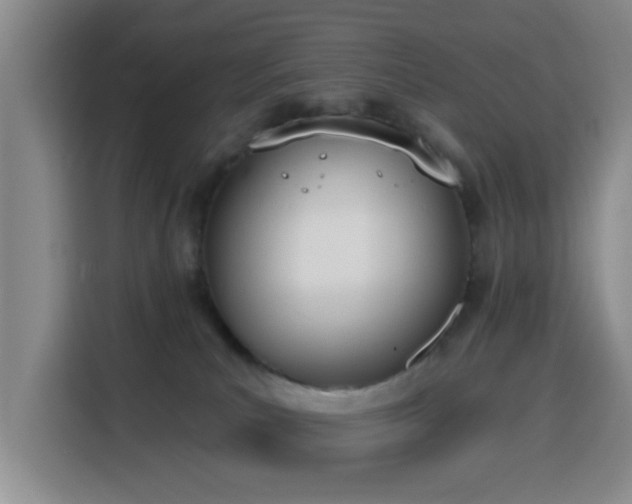 X0000116150039200911231340