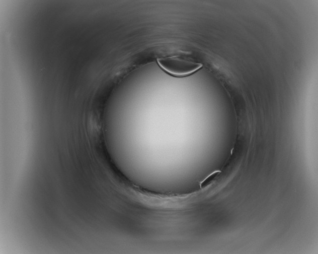 X0000116150040200911231340