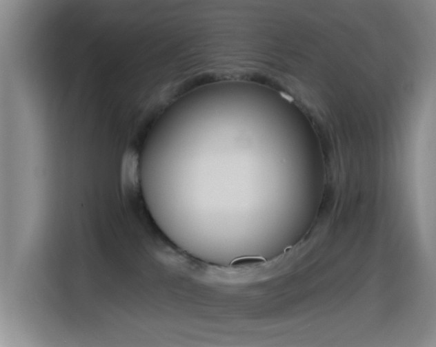 X0000116150041200911231340