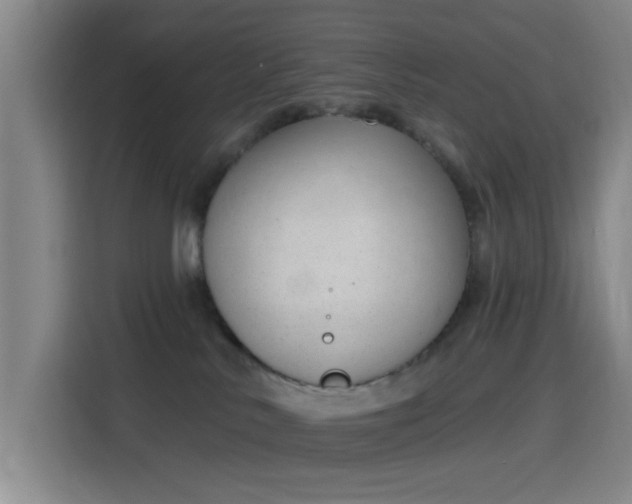 X0000116150042200911231340