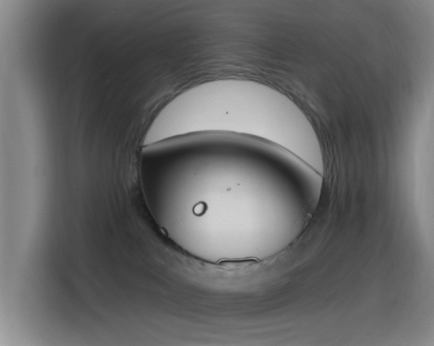 X0000116150043200911231340