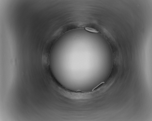 X0000116150044200911231340