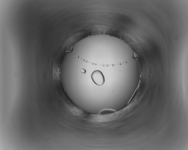 X0000116150045200911231340