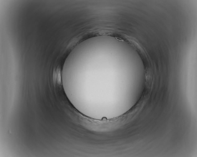 X0000116150046200911231340