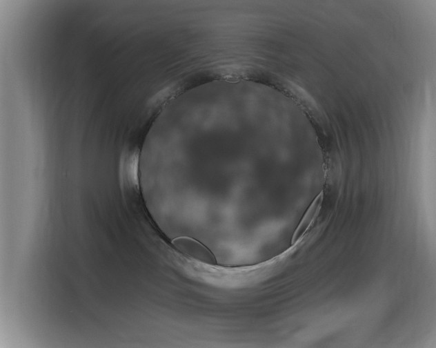 X0000116150047200911231340