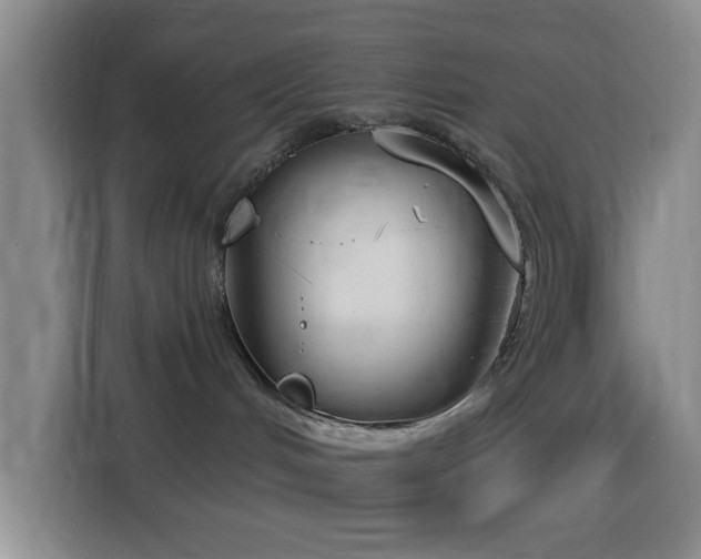 X0000116150048200911231340