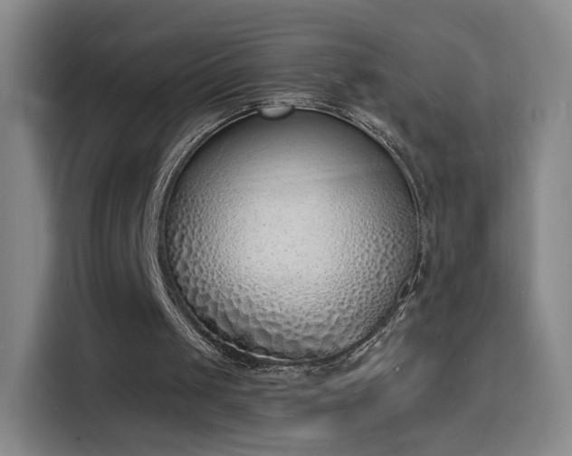 X0000116150049200911231339