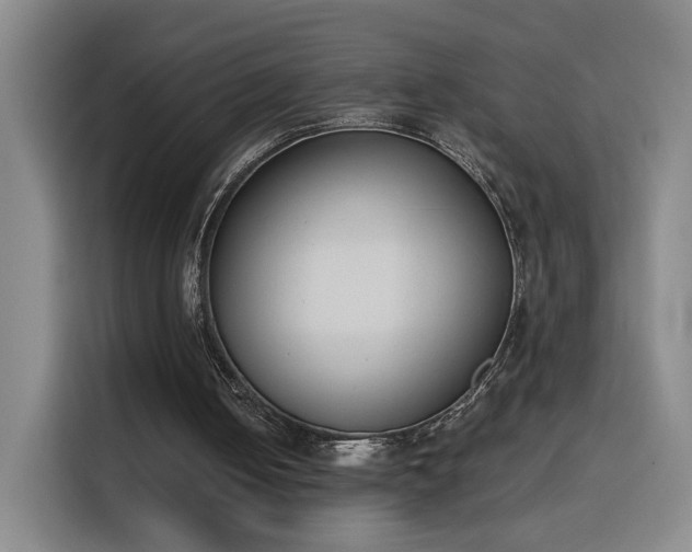 X0000116150050200911231339