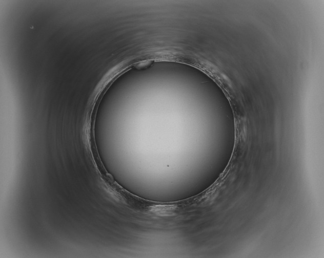 X0000116150051200911231339