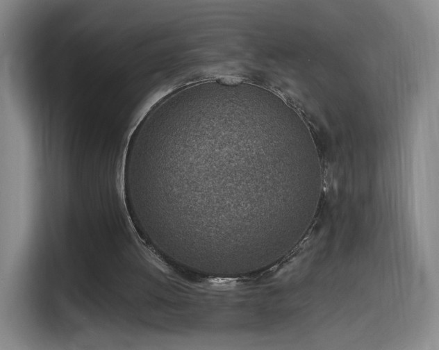 X0000116150052200911231339