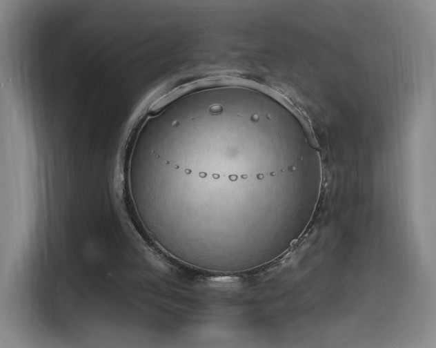 X0000116150053200911231339