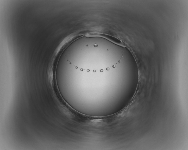 X0000116150054200911231339