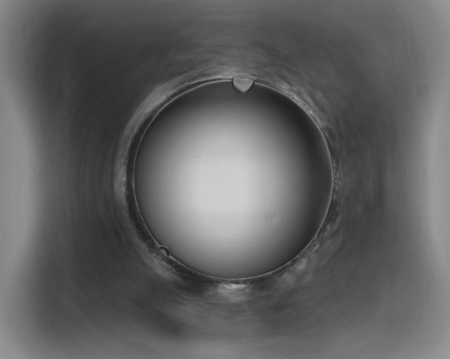 X0000116150055200911231339