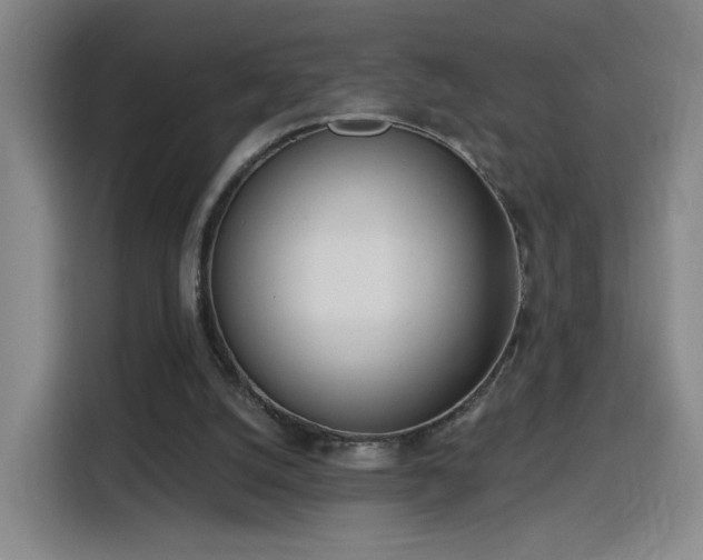 X0000116150056200911231339