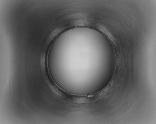 X0000116150058200911231339