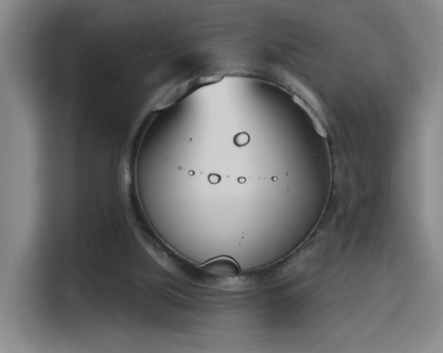 X0000116150059200911231339