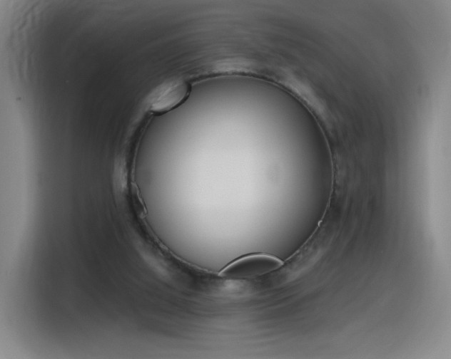 X0000116150060200911231339