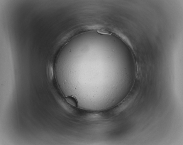 X0000116150061200911231339