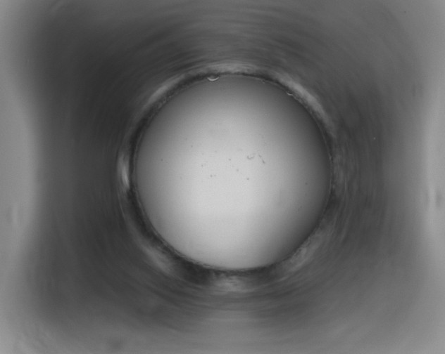 X0000116150062200911231339