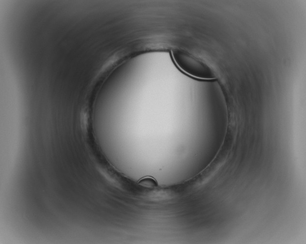 X0000116150063200911231339