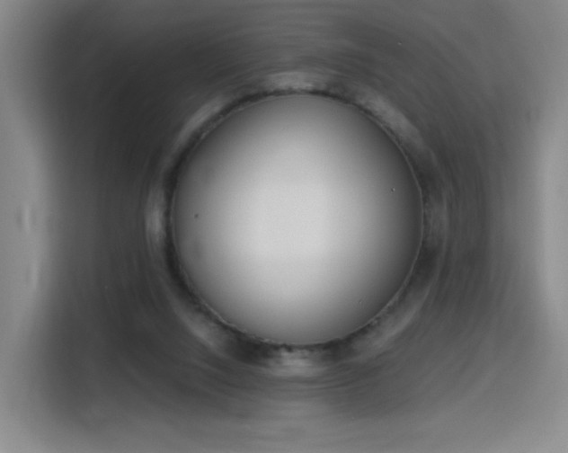 X0000116150064200911231339