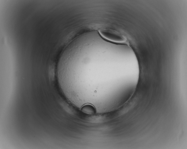 X0000116150065200911231339