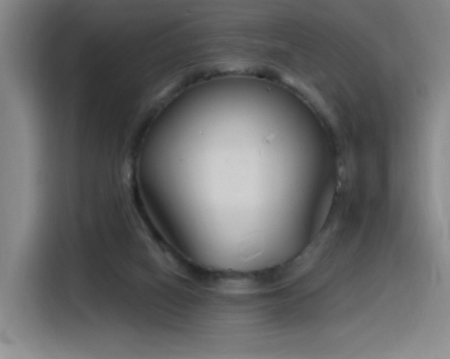 X0000116150066200911231340