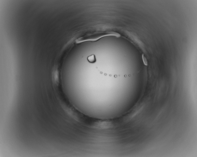 X0000116150067200911231340