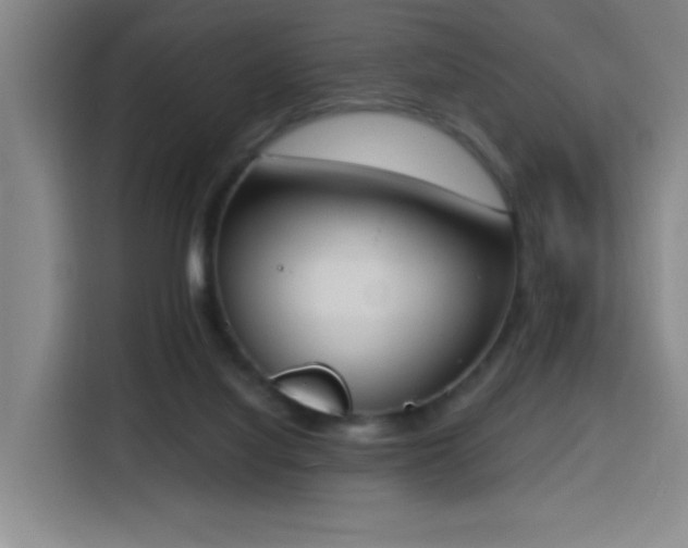 X0000116150068200911231340