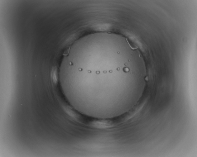 X0000116150069200911231340