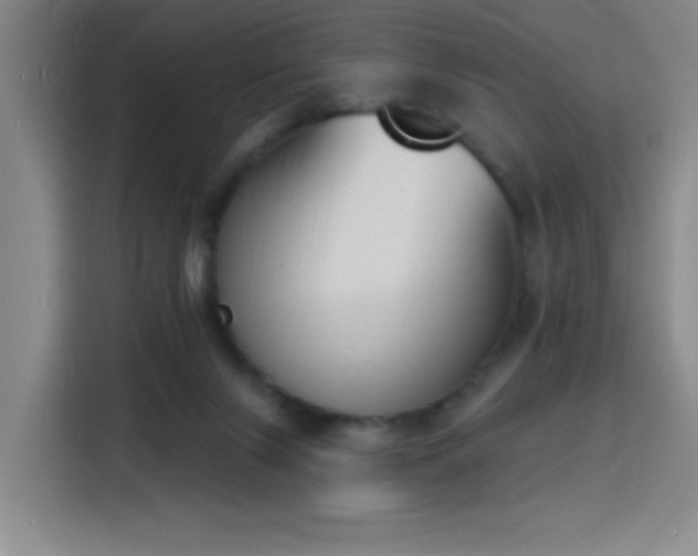 X0000116150071200911231340