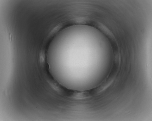 X0000116150072200911231340