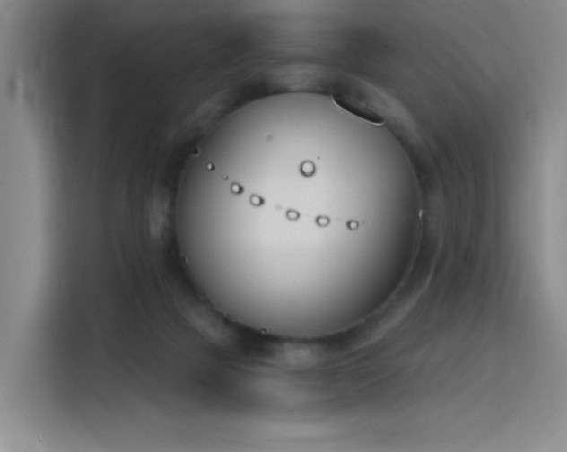 X0000116150073200911231340