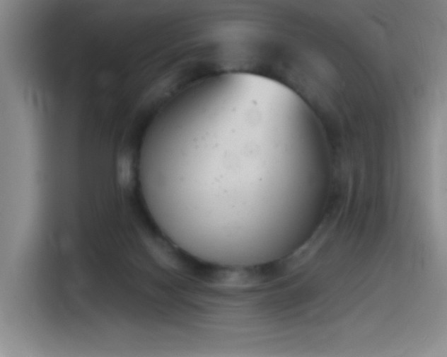 X0000116150074200911231340