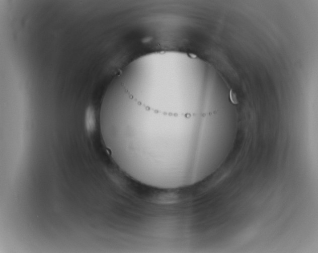 X0000116150075200911231340