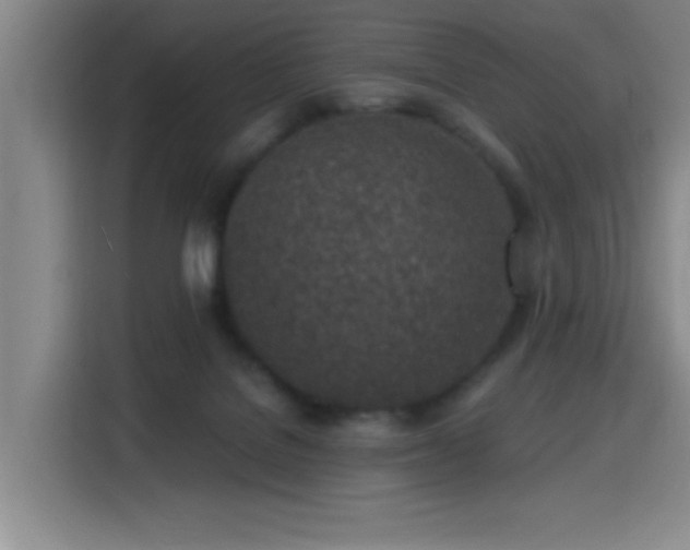 X0000116150076200911231340