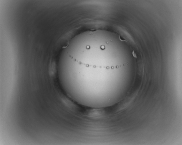 X0000116150077200911231340