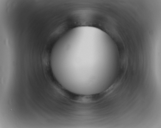 X0000116150078200911231340