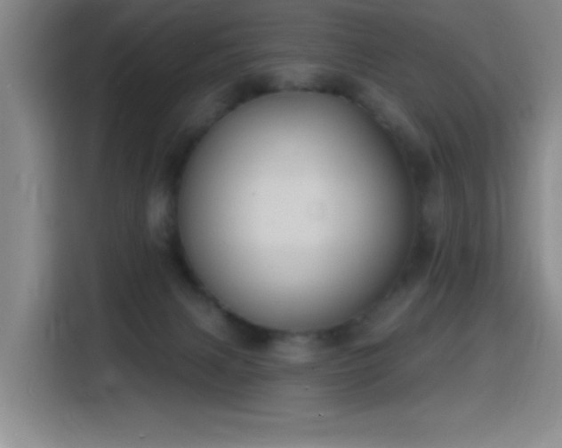 X0000116150079200911231340