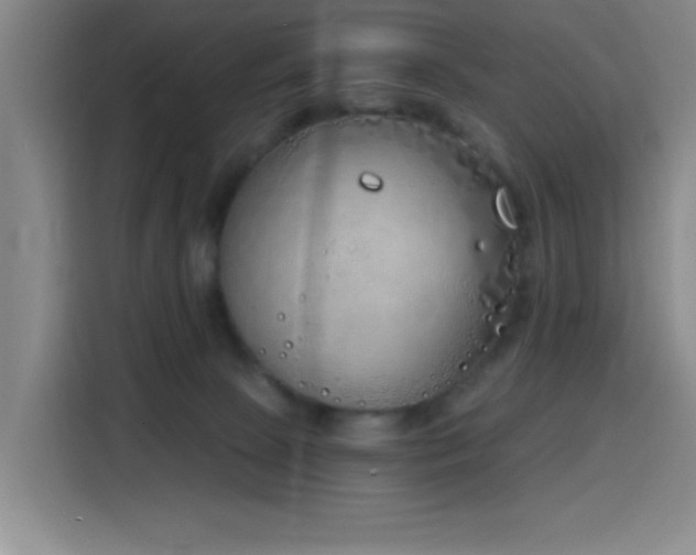 X0000116150081200911231340