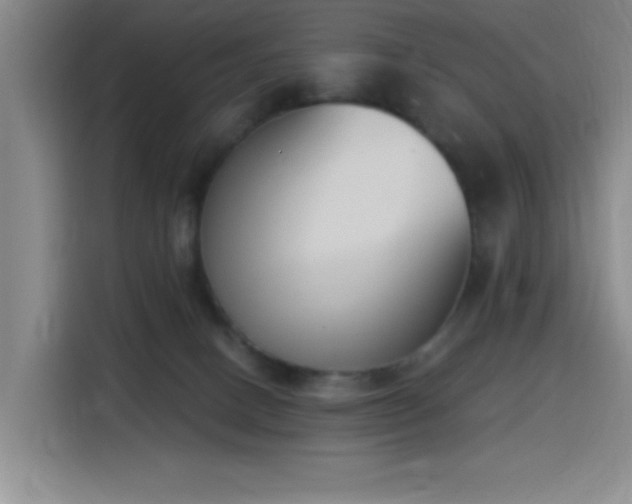 X0000116150082200911231340