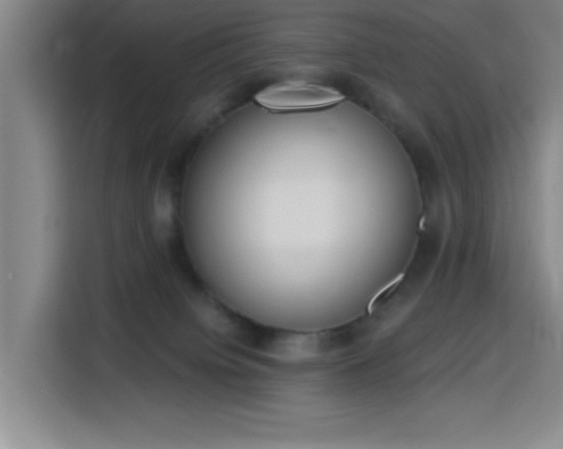 X0000116150084200911231340