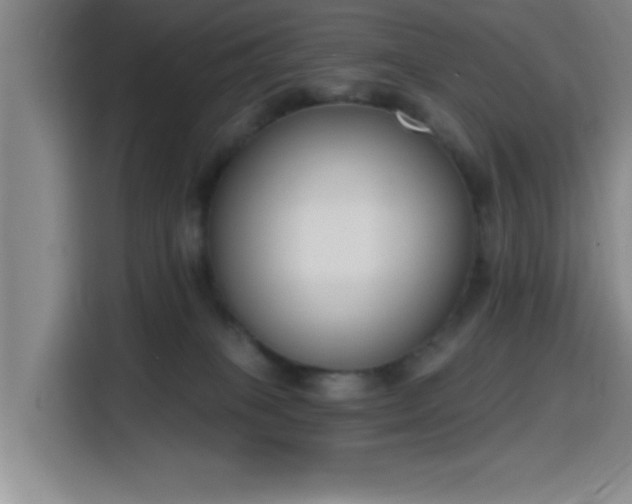 X0000116150085200911231340