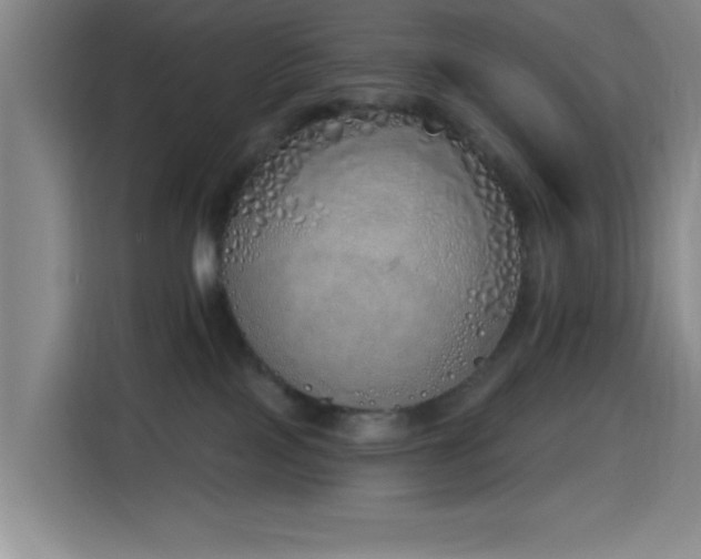 X0000116150089200911231340