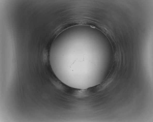 X0000116150092200911231340